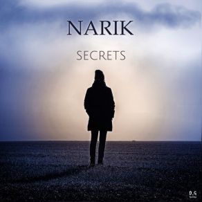 Download track Secrets (Acoustic Guitar Remix) Narik