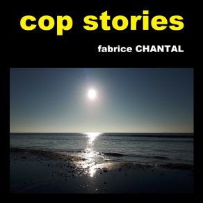 Download track Walking On Cape Cod Beach Fabrice Chantal