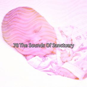 Download track Sleepy Island Serenity Spa Music Relaxation