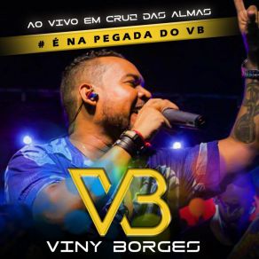 Download track Sou Da Putaria (Ao Vivo) Viny Borges