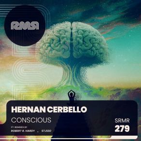 Download track Conscious (St. Ego Remix) Hernan CerbelloSt. Ego