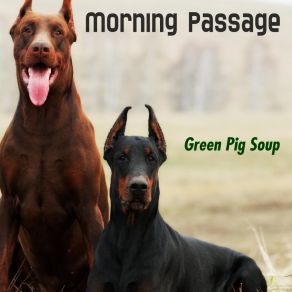 Download track Our Desire Green Pig Soup