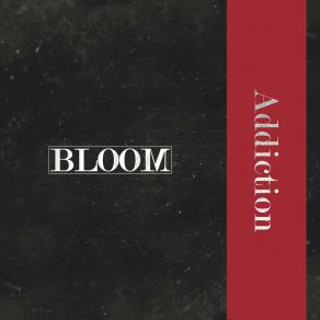 Download track The Bloom Brothers Maicol Vito Bloom