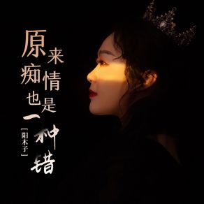 Download track 原来痴情也是一种错 (Djbanan女版) 阳木子