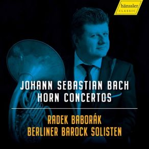 Download track Bach Oboe D'amore Concerto In A Major, BWV 1055R (Arr. For Horn & Orchestra) II. Larghetto Radek Baborák, Berliner Barock Solisten