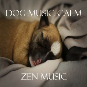 Download track Fusion Dog Music Calm