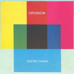 Download track Electric Hawaii Opossom