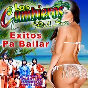 Download track Paloma Triste Los Cumbieros Del Sur