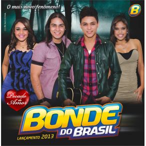 Download track Eu Me Amo Bonde Do Brasil