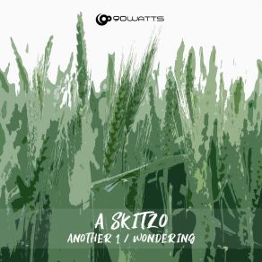 Download track Another 1 A SKITZO