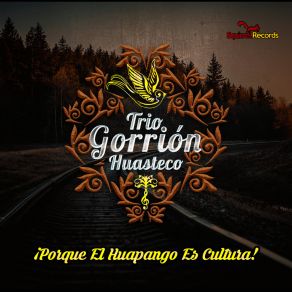 Download track El Queretano Trio Gorrión Huasteco