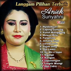 Download track Panjerino Aniek Sunyahni