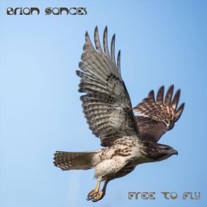 Download track Ok Brian Sances