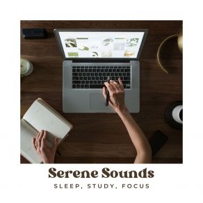 Download track Serene Synaptic Serenade FocusSleep