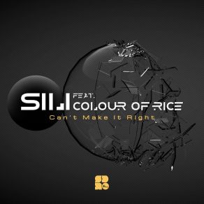 Download track Missing Out (Original Mix) Sili, Colour Of Rice