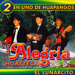 Download track Las Flores Trio Alegria Huasteca