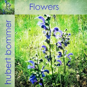 Download track Spring Flowers Hubert Bommer