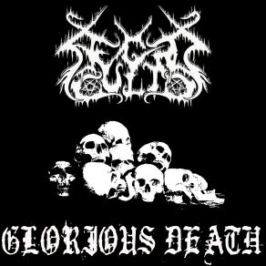 Download track Death And Rebirth Necro Cult