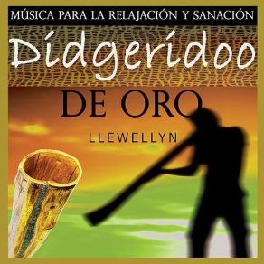 Download track Didge Cielo Música Para Sanación Llewellyn