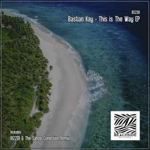 Download track This Is The Way (RIZZER Remix) Bastian KayRIZZER