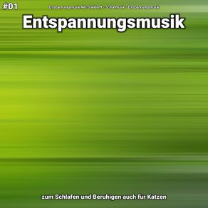 Download track Entspannungsmusik Teil 86 Entspannungsmusik