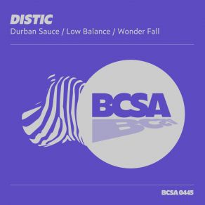 Download track Wonder Fall Distic