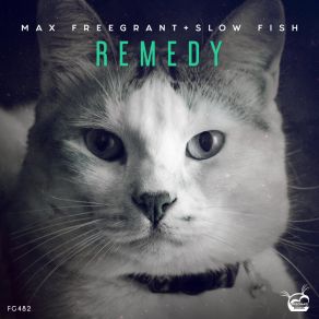 Download track Remedy (Extended Mix) Slow Fish