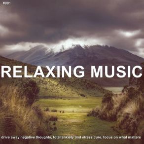 Download track Forest Trees Relaxing Music Therapy