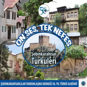 Download track Dere Kenarında Taş Ben Olaydım Nesli Çınaroğlu