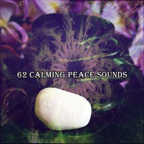 Download track Spiritual Wonder Yoga Music