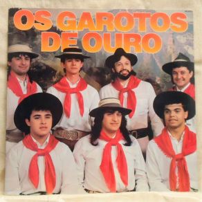 Download track Bailanta Do Fundão Garotos De Ouro