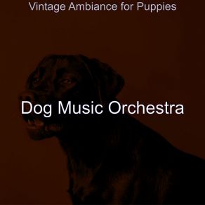 Download track Inspired Solo Piano Jazz - Vibe For Cute Dogs Dog Music Orchestra