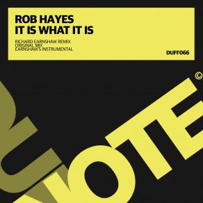 Download track It Is What It Is (Richard Earnshaw Remixx) Rob Hayes