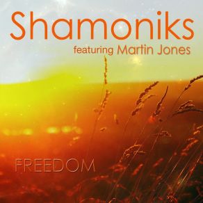 Download track Freedom ShamoniksMartin Jones, Sunary, Sunary Afro