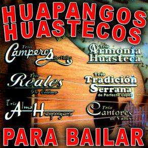 Download track Arriba Panuco Huapangos Huastecos