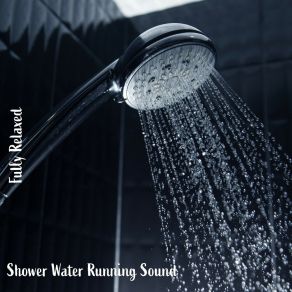 Download track Shower Water Running Sound, Pt. 20 Steve Brassel