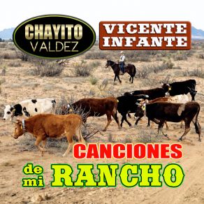 Download track Que Te Dejaron Plantada Vicente Infante