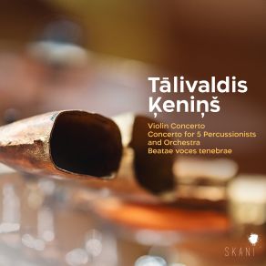 Download track Violin Concerto I. Moderato Con Moto Latvian National Symphony Orchestra, Eva Bindere, Mikus Balins, Elina Endzele, Elvijs Endelis, Ernests Medins, Guntars Freibergs