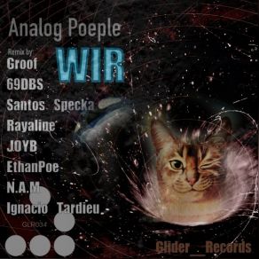 Download track WIR (Rayaline Remix) Analog People