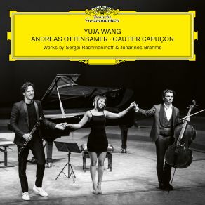 Download track Brahms: Clarinet Trio In A Minor, Op. 114 - I. Allegro Gautier Capuçon, Yuja Wang, Andreas Ottensamer