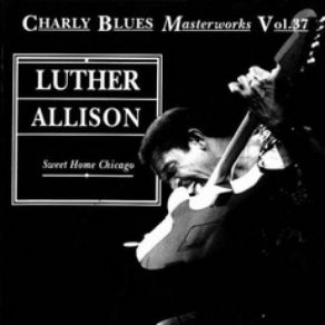 Download track You Don't Love Me Luther Allison