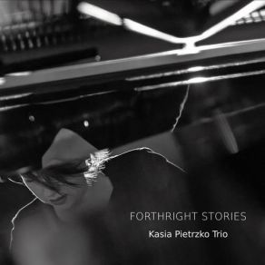 Download track During Kasia Pietrzko Trio