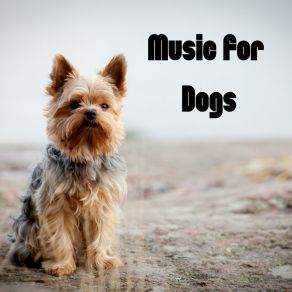 Download track Dog Music Calm Pets Music Academy