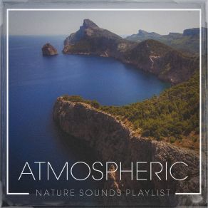 Download track Being Calm And Relaxed Echoes Of Nature