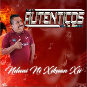 Download track Vichi Xaku Ndakoo Ra Yo O Los Autenticos De La Sierra