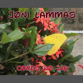 Download track Olhos De Jade Joni Lammas