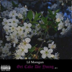 Download track Fell In Love Lil Moregun