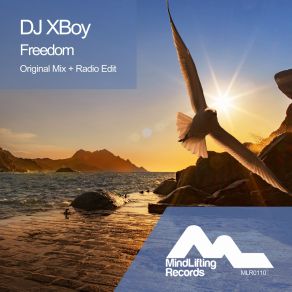 Download track Freedom (Original Mix) Dj Xboy