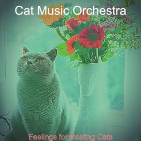 Download track Number One Backdrops For Resting Cats Cat Music Orchestra