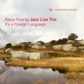 Download track Like Pebbles On A Beach Klaus Koenig Jazz Live Trio